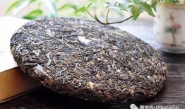 普洱网红爆料是谁呀视频,是谁在视频里引发热议？